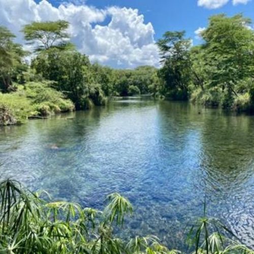 Kenya Wildlife & Beach Holiday